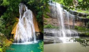Adilabad : लगातार बारिश से आदिलाबाद के सुंदर झरने पुनर्जीवित