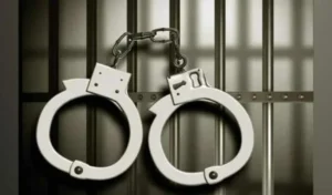 Hyderabad : महिलाओं को परेशान करने के आरोप में शी टीम्स ने लगभग 650 लोगों को पकड़ा