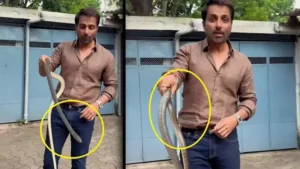 Bollywood: सोनू सूद ने सांप का किया रेस्क्यू..