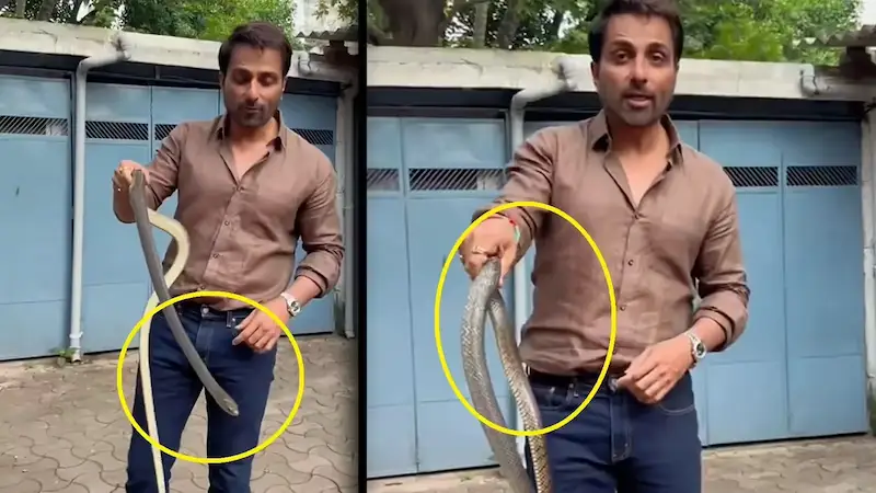 Bollywood: सोनू सूद ने सांप का किया रेस्क्यू..