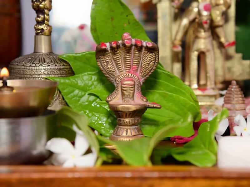 Sawan Vastu Tips: घर से जरूर हटा दें ये चीजें तभी होगा शिव का वास