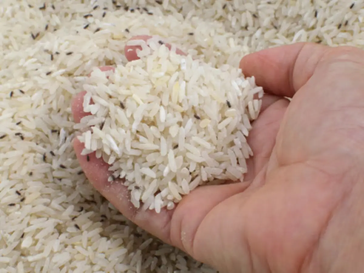 छात्रावास