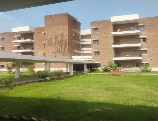 चिकन 