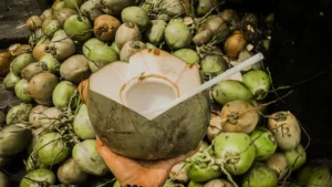 Benefits of Coconut: मिनटों में पहचानें नारियल में पानी ज्यादा है या मलाई