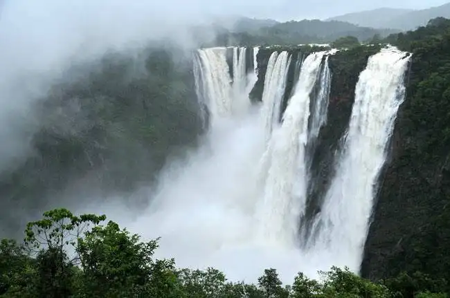 रायकल