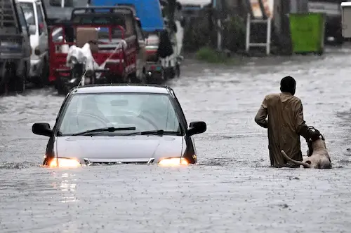 Pakistan : भारी बारिश से पाकिस्तान में अब तक 223 लोगों की मौत