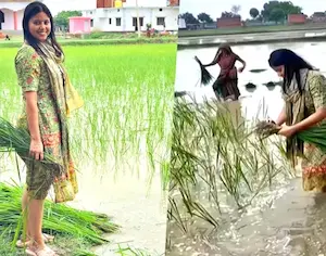 National : सपा सांसद प्रिया सरोज ने की धान की रोपाई…वीडियो हुआ वायरल