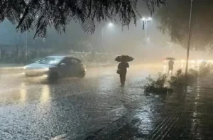 Sangareddy : लगातार बारिश से किसान चिंतित