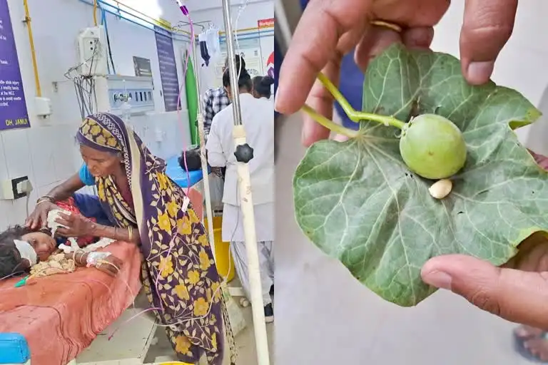 Hyderabad : चामराजनगर में जंगली फल खाने से बच्चे बीमार, 3 की हालत गंभीर