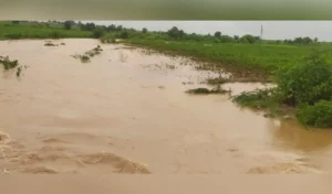 Heavy Rainfall : मंचेरियल और आसिफाबाद में भारी बारिश से सामान्य जनजीवन अस्त-व्यस्त