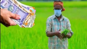 Narayanpet : किसानों ने की बाजार मूल्य पर मुआवजे की मांग