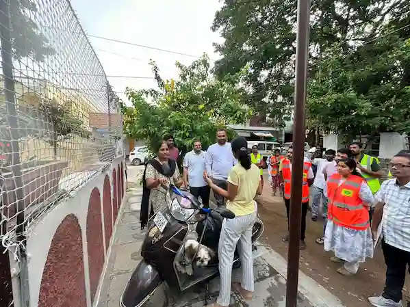 GHMC: लार्वा-रोधी कार्यक्रमों को सघनता से चलाया जाए : आर.वी. कर्णन