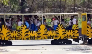 Zoo : इलेक्ट्रिक टॉय ट्रेन के साथ पर्यावरण-अनुकूल हो गया चिड़ियाघर