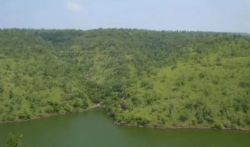 Hyderabad : नल्लामाला के नाजुक पारिस्थितिकी तंत्र के लिए खतरा पैदा करती है पोलावरम-बनकचेरला सुरंग