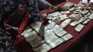 Bihar: छापा पड़ा तो इंजिनियर की पत्नी ने जलाये 40 लाख रुपये !