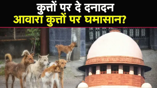 सुप्रीम कोर्ट का आदेश आवारा कुत्ते शेल्टर भेजें