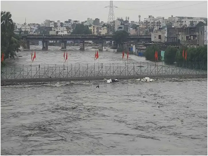 हाइड्रा
