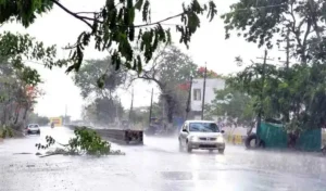 Rainfall : सिद्दीपेट, मेदक और संगारेड्डी में भारी बारिश
