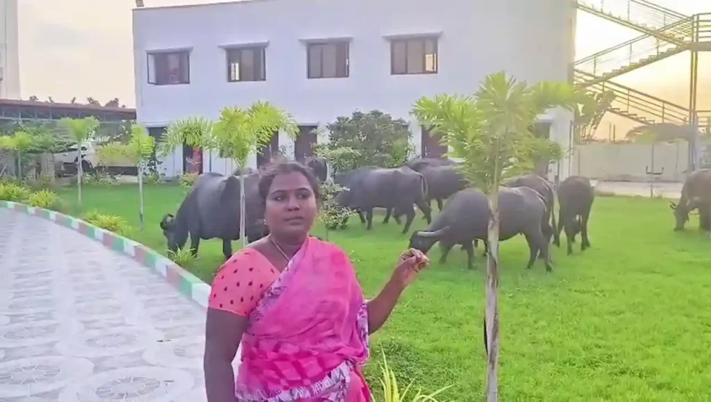 विधायक