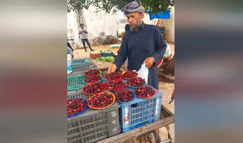 Fruit Auction : बरकस फल नीलामी से यमनी समुदाय की सदियों पुरानी परंपरा जीवित