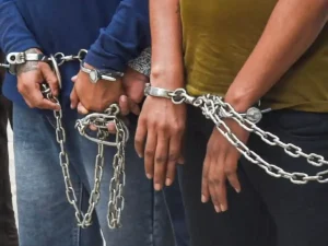 वेमुलावाड़ा में नकली प्रीमियम शराब रैकेट का भंडाफोड़, दो गिरफ्तार