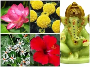 Flowers: बप्पा को चढ़ाएं ये 5 फूल