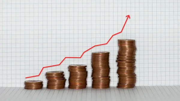 Indian Economy