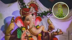 Tulsi: गणेश जी की पूजा में तुलसी क्यों वर्जित है?