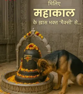 Ujjain : भक्ति की मिसाल बनी डॉग ‘मैक्सी’