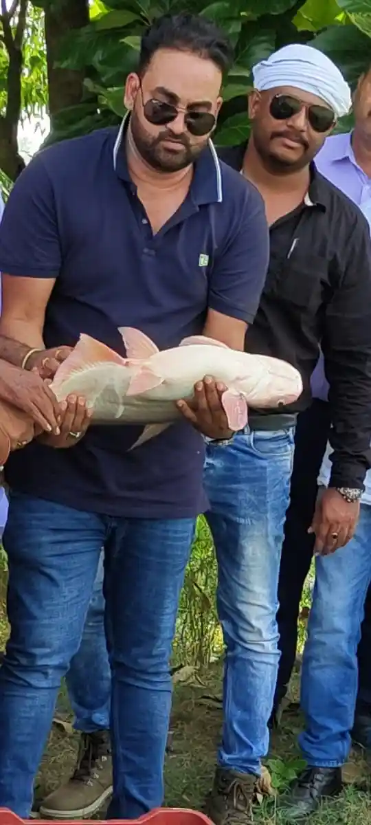 असलम