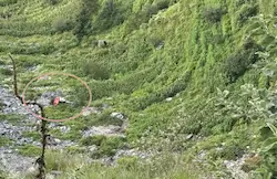 Himachal : 500 मीटर खाई में गिरी कार, 6 लोगों की हुई मौत