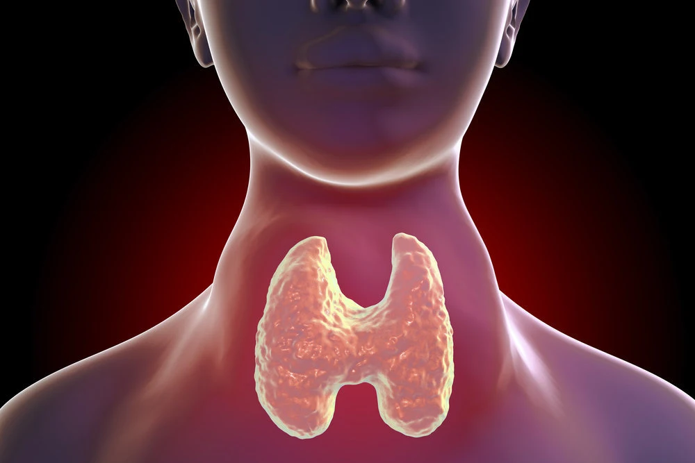 Health: क्या आपका वजन बढ़ रहा है? तो जानिए क्या हैं लक्षण