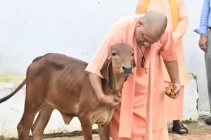 UP: यूपी में गाय के गोबर से बनेगा कपड़ा और बायोप्लास्टिक