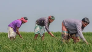 UP: इस राज्य में किसानों की सौ प्रतिशत रजिस्ट्री का लक्ष्य तय