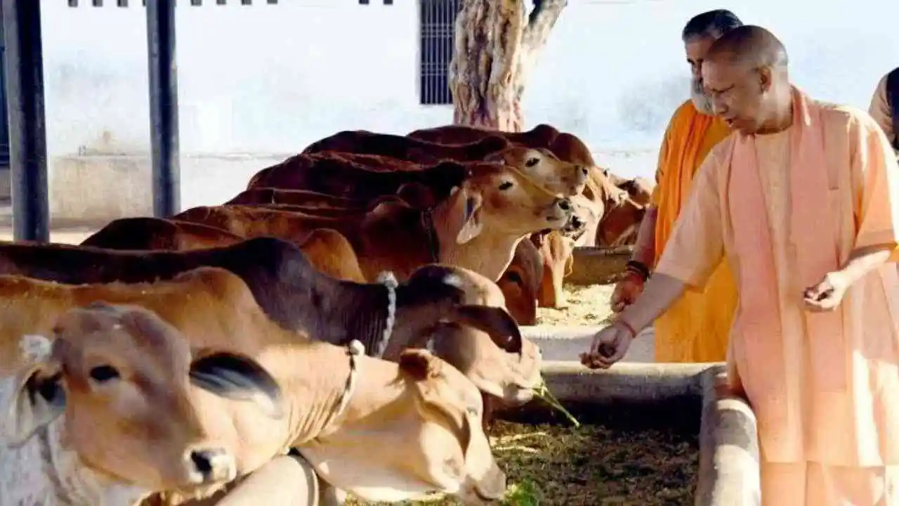 गो सेवा से तरक्की करेगा यूपी