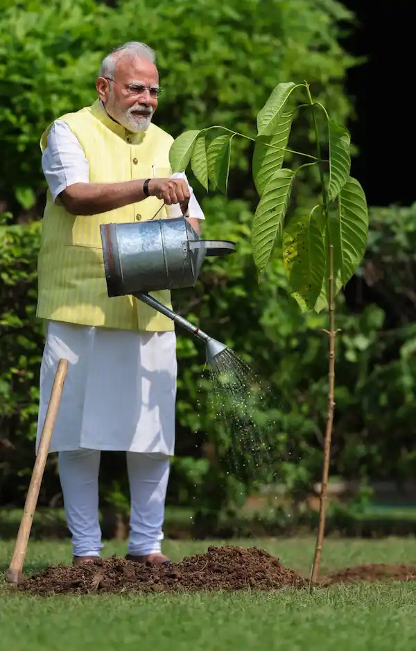 Hindi News: प्रधानमंत्री नरेंद्र मोदी ने किंग चार्ल्स तृतीय द्वारा भेंट किए गए कदंब के पौधे का रोपण किया