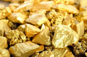 Gold Reserves: कोटे डी आइवर में सोने का विशाल भंडार