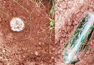 Latest Hindi News : नक्सलियों की साजिश नाकाम, सुरक्षाबलों ने 5 आईईडी किया डिफ्यूज