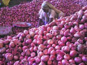 Latest News Kurnool : 30 पैसे प्रति किलो हुआ प्याज का दाम!