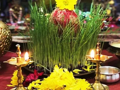 Breaking News: Navratri: नवरात्रि के जौ के अंकुर