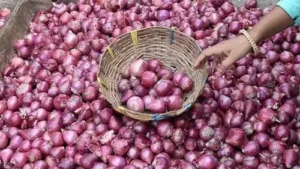 Onion: त्योहारी सीजन में 24 रुपये का प्याज