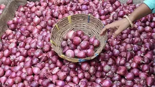 Onion: त्योहारी सीजन में 24 रुपये का प्याज