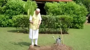 Latest News : PM मोदी ने अपने आवास पर कदम्ब का पौधा लगाया