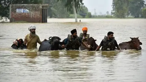 Punjab Floods : मूसलाधार बारिश के चलते पंजाब में आई बाढ़