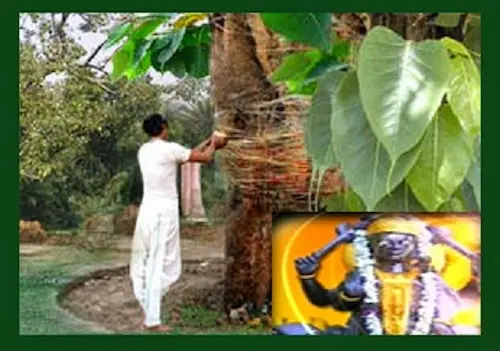  Peepal