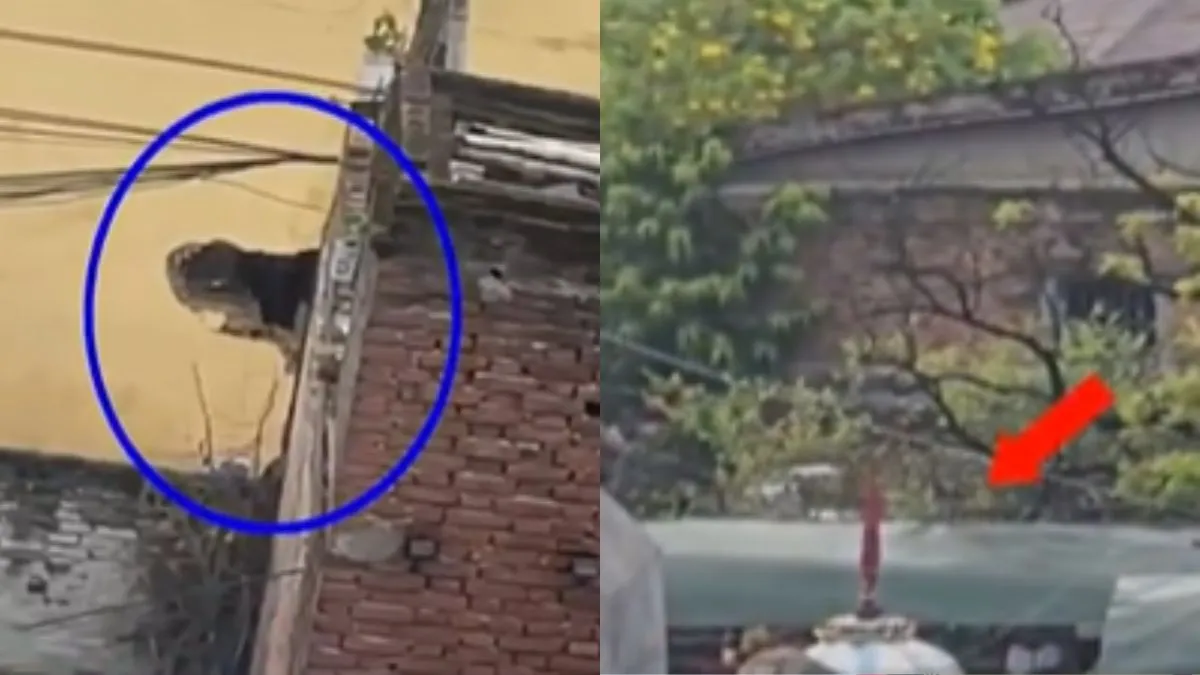 नेपाल विरोध प्रदर्शन के बीच कैदियों ने तोड़ा ‘जेल’, 1500 से अधिक फरार