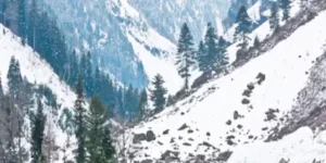 Latest Hindi News : जम्मू-कश्मीर : भारी बर्फबारी में फंसे 25 लोगों को सुरक्षित बचाया गया