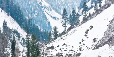 Latest Hindi News : जम्मू-कश्मीर : भारी बर्फबारी में फंसे 25 लोगों को सुरक्षित बचाया गया