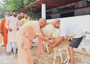 भारत की समृद्धि का आधार रहा है गोवंश – योगी आदित्यनाथ