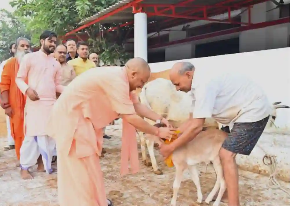 News Hindi : भारत की समृद्धि का आधार रहा है गोवंश – योगी आदित्यनाथ